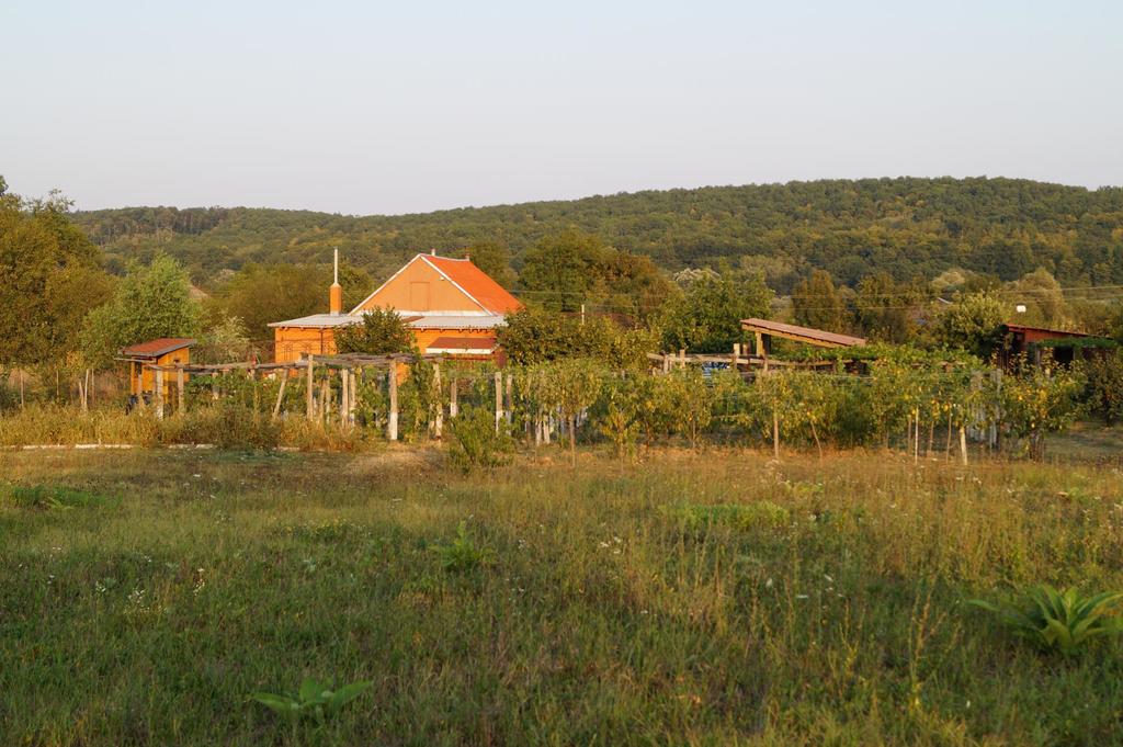 Станица тверская краснодарский край фото