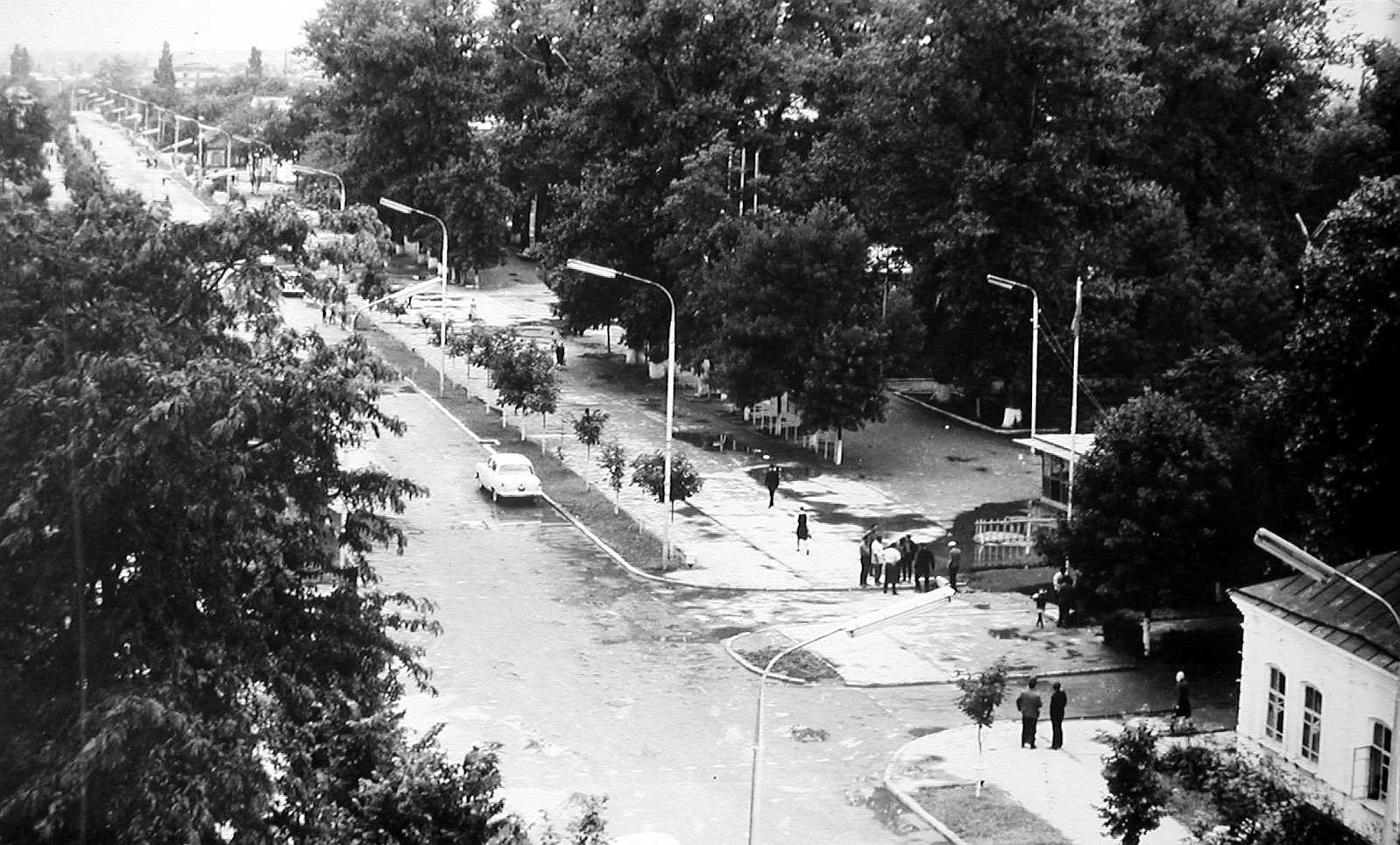 Апшеронск старый ясень. Старые фотографии Апшеронска. Площадь города Апшеронск. Апшеронск старые фото города. Как выглядел город Апшеронск до начала СССР.